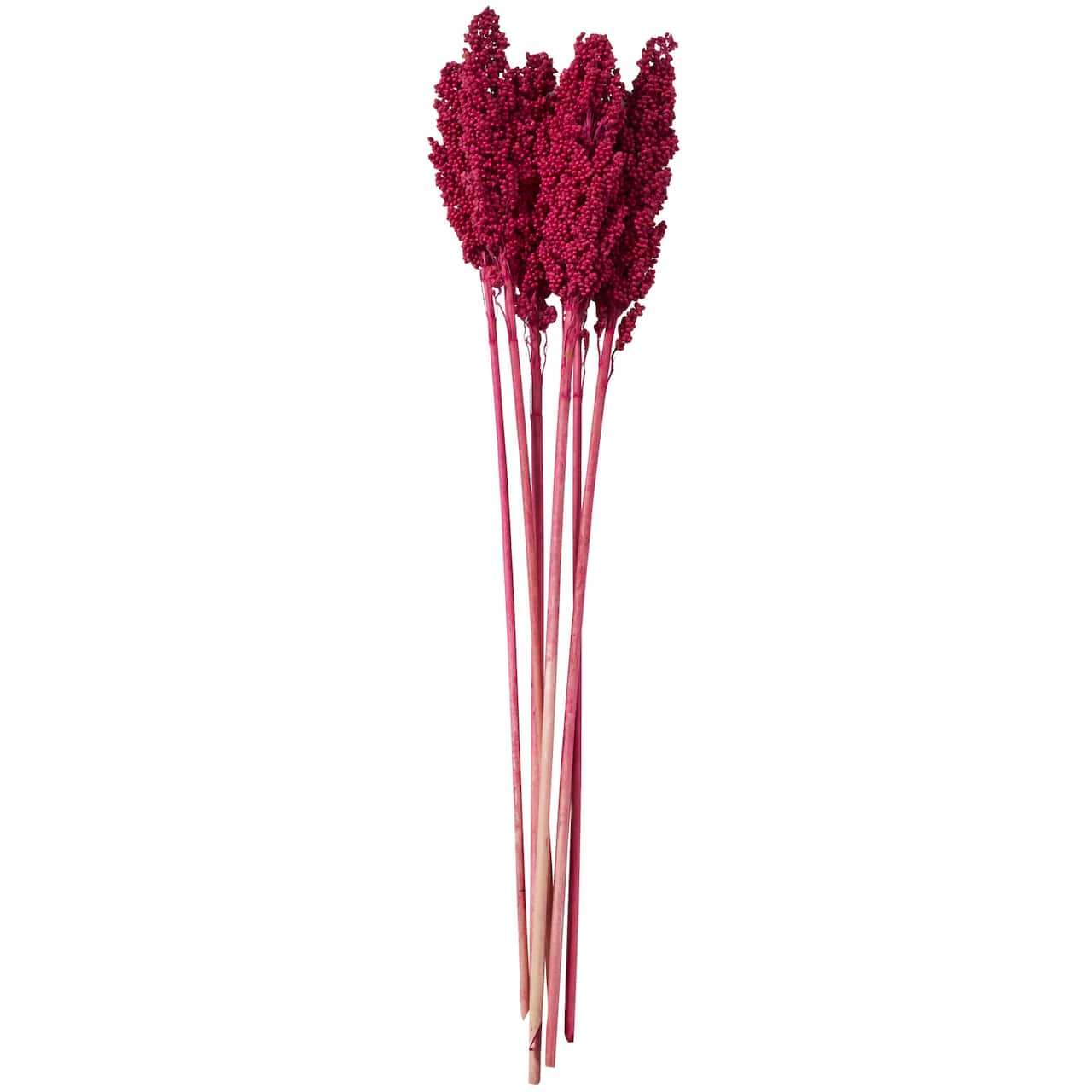 Dried Corn Maize Natural Foliage with Long Stems